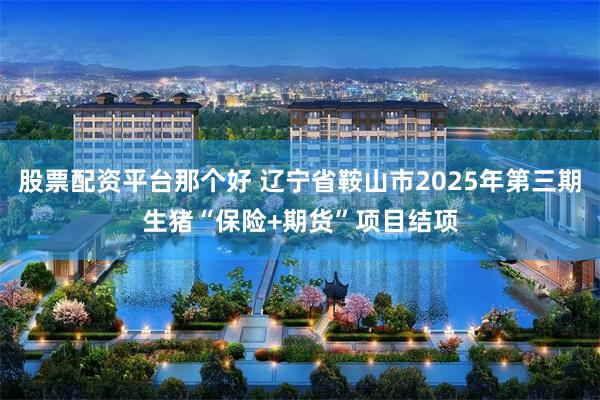股票配资平台那个好 辽宁省鞍山市2025年第三期生猪“保险+期货”项目结项