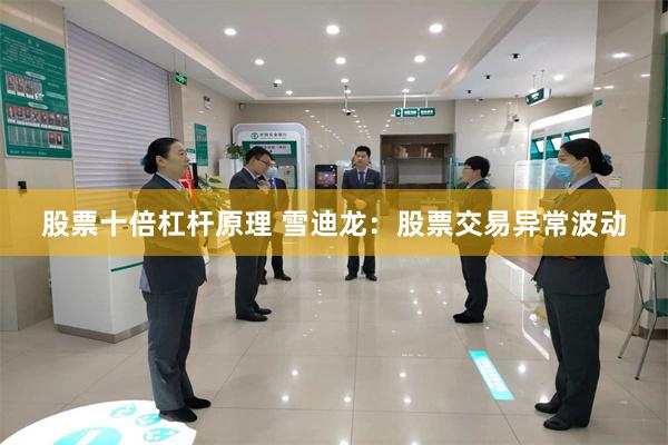股票十倍杠杆原理 雪迪龙：股票交易异常波动