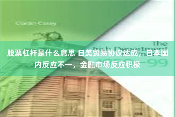 股票杠杆是什么意思 日美贸易协议达成，日本国内反应不一，金融市场反应积极
