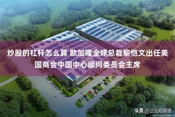 炒股的杠杆怎么算 欧加隆全球总裁黎恺文出任美国商会中国中心顾问委员会主席