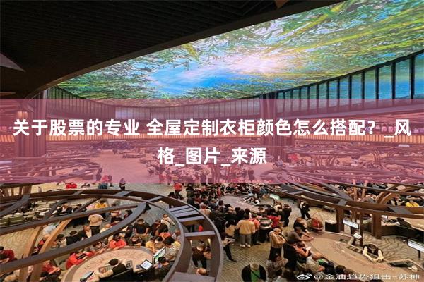 关于股票的专业 全屋定制衣柜颜色怎么搭配？_风格_图片_来源