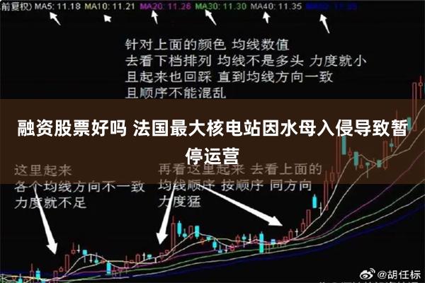融资股票好吗 法国最大核电站因水母入侵导致暂停运营