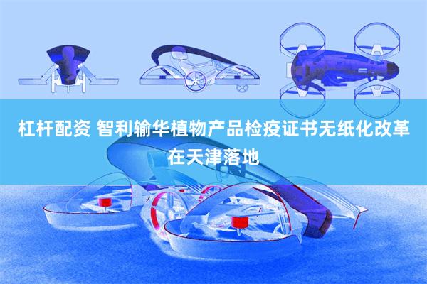 杠杆配资 智利输华植物产品检疫证书无纸化改革在天津落地