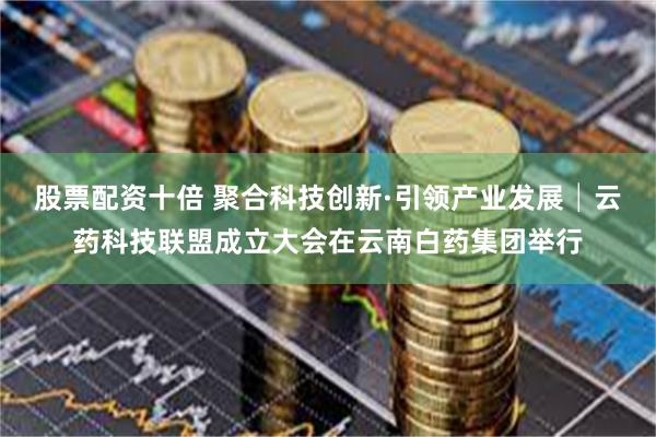 股票配资十倍 聚合科技创新·引领产业发展│云药科技联盟成立大会在云南白药集团举行