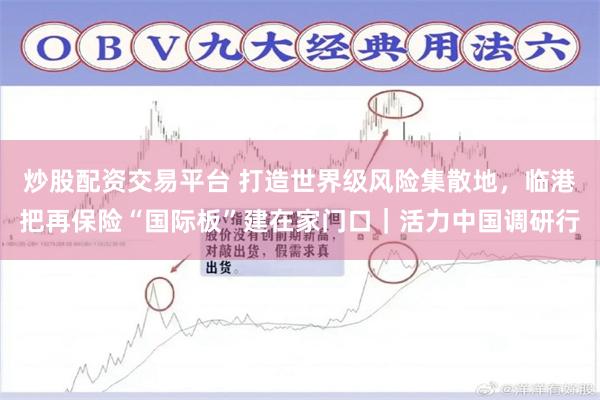 炒股配资交易平台 打造世界级风险集散地，临港把再保险“国际板”建在家门口｜活力中国调研行