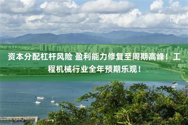 资本分配杠杆风险 盈利能力修复至周期高峰！工程机械行业全年预期乐观！