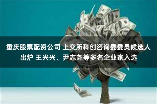 重庆股票配资公司 上交所科创咨询委委员候选人出炉 王兴兴、尹志尧等多名企业家入选