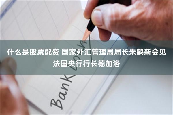 什么是股票配资 国家外汇管理局局长朱鹤新会见法国央行行长德加洛