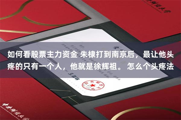 如何看股票主力资金 朱棣打到南京后，最让他头疼的只有一个人，他就是徐辉祖。 怎么个头疼法