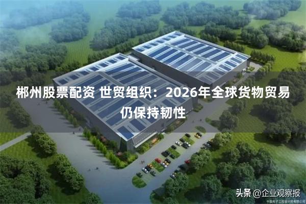 郴州股票配资 世贸组织：2026年全球货物贸易仍保持韧性