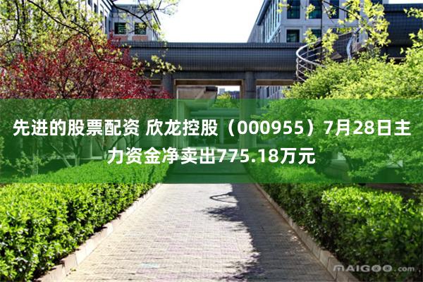 先进的股票配资 欣龙控股（000955）7月28日主力资金净卖出775.18万元