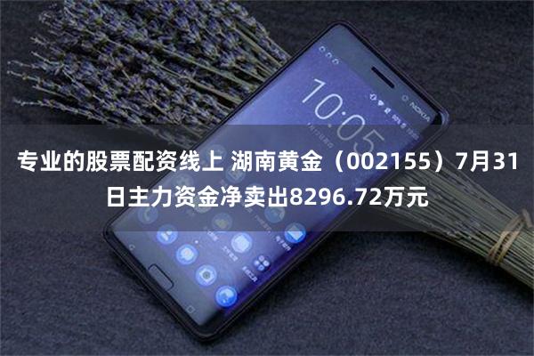 专业的股票配资线上 湖南黄金（002155）7月31日主力资金净卖出8296.72万元