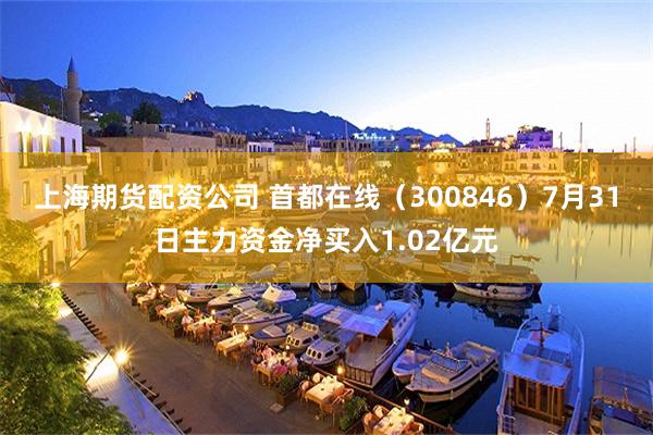 上海期货配资公司 首都在线（300846）7月31日主力资金净买入1.02亿元