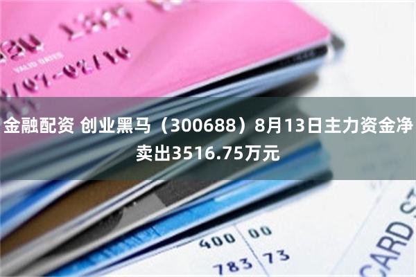金融配资 创业黑马（300688）8月13日主力资金净卖出3516.75万元