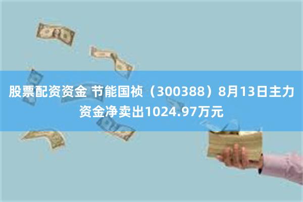 股票配资资金 节能国祯（300388）8月13日主力资金净卖出1024.97万元