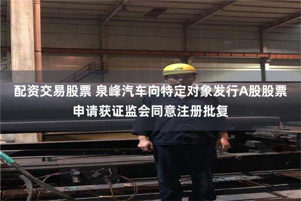 配资交易股票 泉峰汽车向特定对象发行A股股票申请获证监会同意注册批复