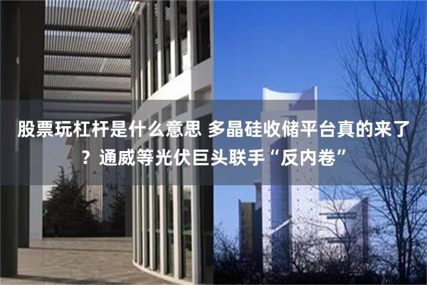 股票玩杠杆是什么意思 多晶硅收储平台真的来了？通威等光伏巨头联手“反内卷”