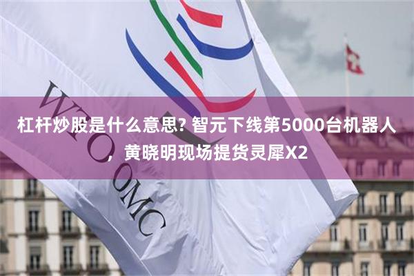 杠杆炒股是什么意思? 智元下线第5000台机器人，黄晓明现场提货灵犀X2